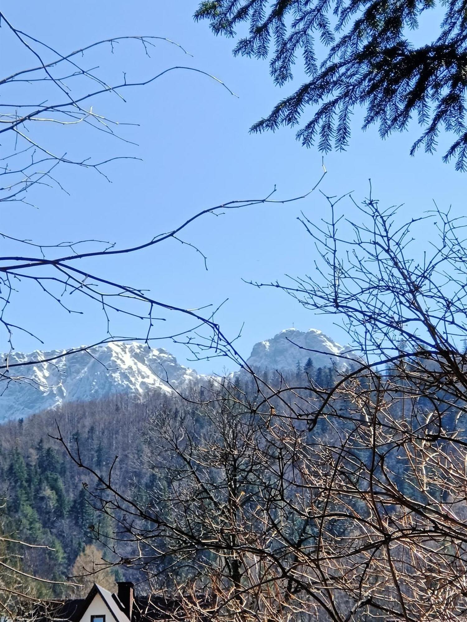 Willa Dlugoszowka Zakopane Bagian luar foto